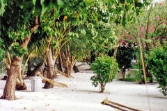 lohifushi