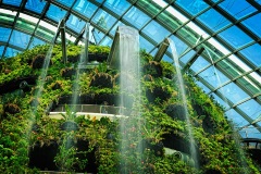 Cloud Forest Dome